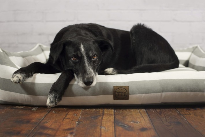 Bezug Jagdlich Leder für Hundematten: Schadstoffgeprüft und wasserdicht